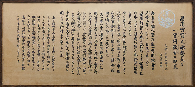 竹節人参について
