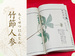 竹節人参