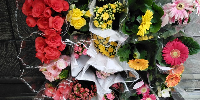 KIMG2756花鉢セール.JPG