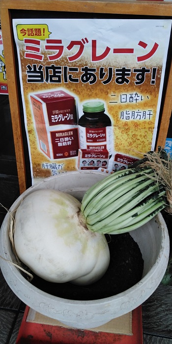 KIMG3478桜島大根.JPG